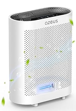 best air purifier with uv light