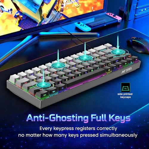 Image of Ant Esports APEX100 Mini Wired Mechanical Gaming Keyboard, 68 Keys Compact Layout, Hot-Swappable Silent Red Switches, RGB Backlit, All Keys Anti-Ghosting for PC & Mac Gray Gradient