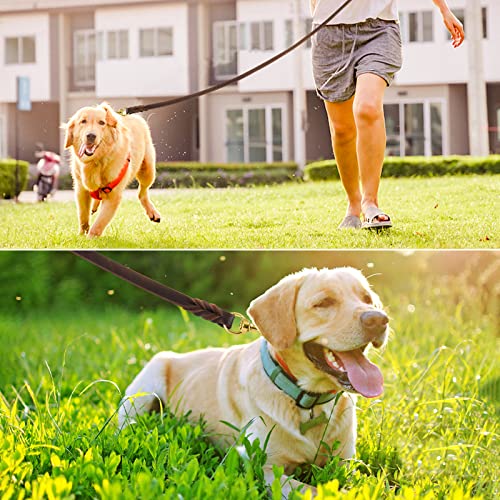Wellbro Leather Dog Leash 6 Foot - Military Grade Heavy Duty Dogs Training And Walking Leather Leash-Soft And Strong,Suitable For Small,Medium,Large Dogs #TOP4