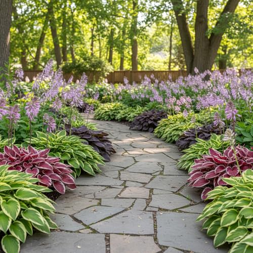 100+ Hosta Seeds for Planting Outdoors, Mixed Color Rare Perennial Flower Seeds, Shade Loving Hosta Plants for Garden Beds, Containers, Patios