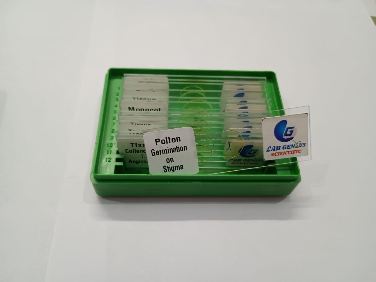 Biology Microscope Permanent Prepared Slides Set of 12 | Ready-Made Plant Tissues for Biology, Education Lab Use Study (tissue-Plant-12)-picture-25