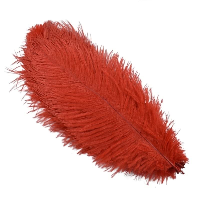 Plumes d'autruche pour décoration de mariage et centres de table de fête