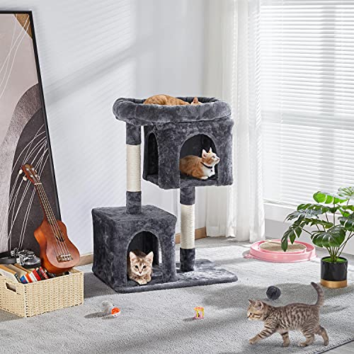 https://m.media-amazon.com/images/I/5121CmPOcTS._SL500_.jpg