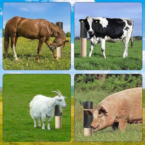 Post d'entretien de chevaux et bétail pour étable et herbage - 5