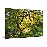foto lienzo bosque Podras disfrutar toda su vida esta gran pieza central de arte de pared enmarcada que tiene: resolución HD, foto con impresión de látex, listo para colgar, luz de una manera mágica; Si fue difícil de encontrar hoy en día una nueva idea de regalo… Ya no…