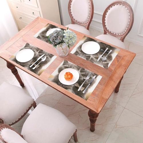 Set de table cuisine et fêtes motif chat amusant pour repas convivial - 5
