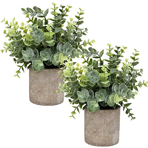 Flojery Mini Potted Plants Artificial Eucalyptus Boxwood Rosemary...