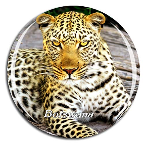 Weekino Cheetah Botswana Fridge Magnet 3D Crystal Glass Tourist City Travel Souvenir Collection Gift Strong Refrigerator Sticker