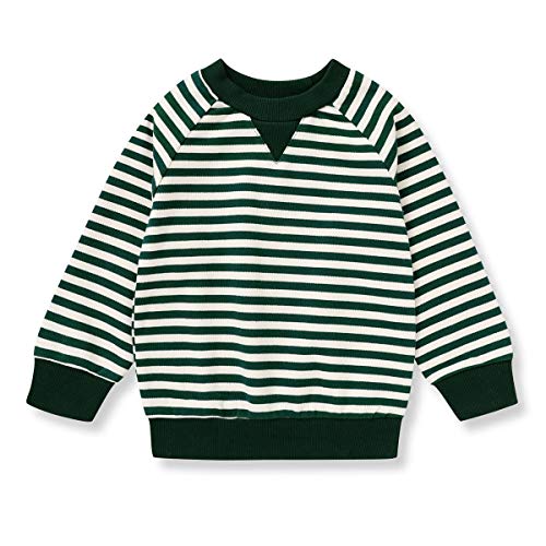 Toddler Baby Cotton Pullover Sweater Tops Kids Fall Winter Knit Sweater Solid Color Clothes 1-5T (Green-Stripe, 12-18 Months)