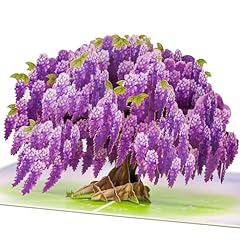 Wisteria Tree
