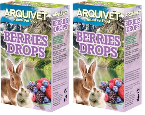 ARQUIVET Drops aux Fruits des Bois - 65 g - Snacks pour Les rongeurs - Bonbons et récompenses pour Lapins, Hamsters, cobayes, furets (Lot de 2)