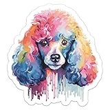 Generic Colorful Watercolor Poodle Dog Sticker - Vinyl Waterproof Decal for Car, Laptop, Wall, Window, Water Bottle, Bumper Sticker Size - 3'' Longer Side