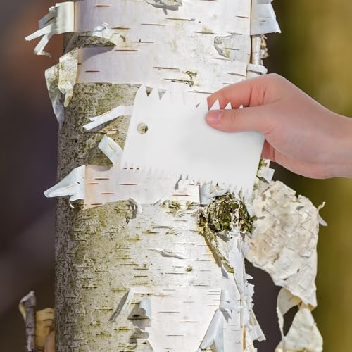 Aiyorse 3 Stück Zahnspachtel Zahnspachtel Kunststoff Kleberspachtel Leimspachtel Kunststoff Wiederverwendbarer Für Fliesen-Zahnspachtel Verteiler für Hartholzböden zum Auftragen Von Klebstoff