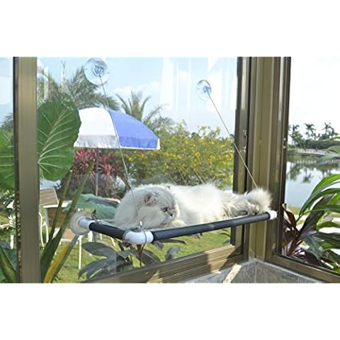 Cama para gatos con ventosa y asiento soleado Cover