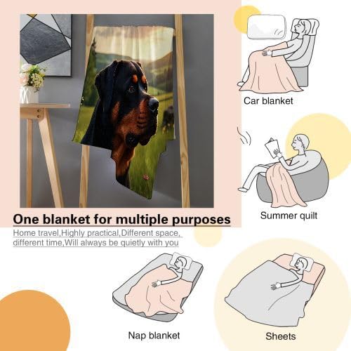 Rottweiler 200 x 220 koc polarowy z nadrukiem, wygodny i oddychający koc na łóżko dla dorosłych i dzieci, utrzymuj ciepło zimą
