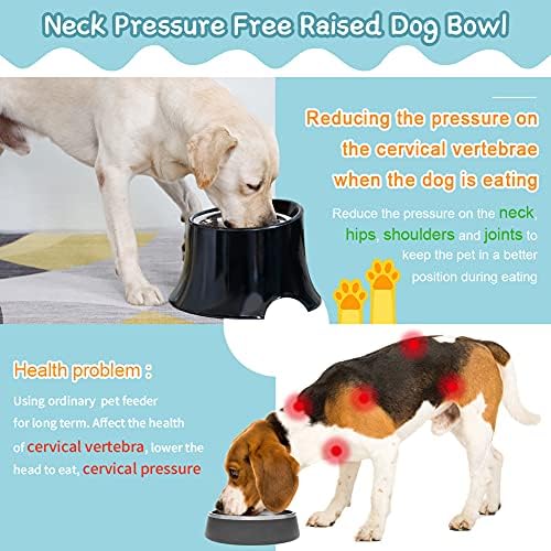 How Can I Tell If My Dog Has Regurgitated Instead Of Vomiting