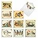 M2344OCB Sweet Tweets: 10 Assorted Blank All-Occasion Note Cards Featuring Vintage Birds and Owls Enjoying Scenes from Everyday Life, w/White Envelopes.