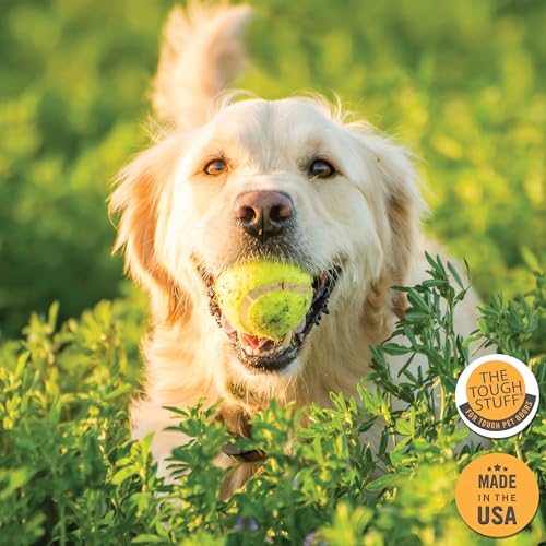 Image of Nilodor SKUNKED Deodorizing Dog Shampoo, 16 oz - Powerful Odor Relief with Essential Oils, Mild & Non-Irritating, Deep-Clean Formula for Dogs