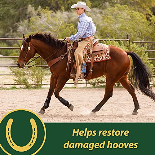 Farnam Horseshoer's Secret Deep-Penetrating Hoof Oil for Horses, Conditions Dry Hooves and Prevents Cracks, Splits and… - Image 4