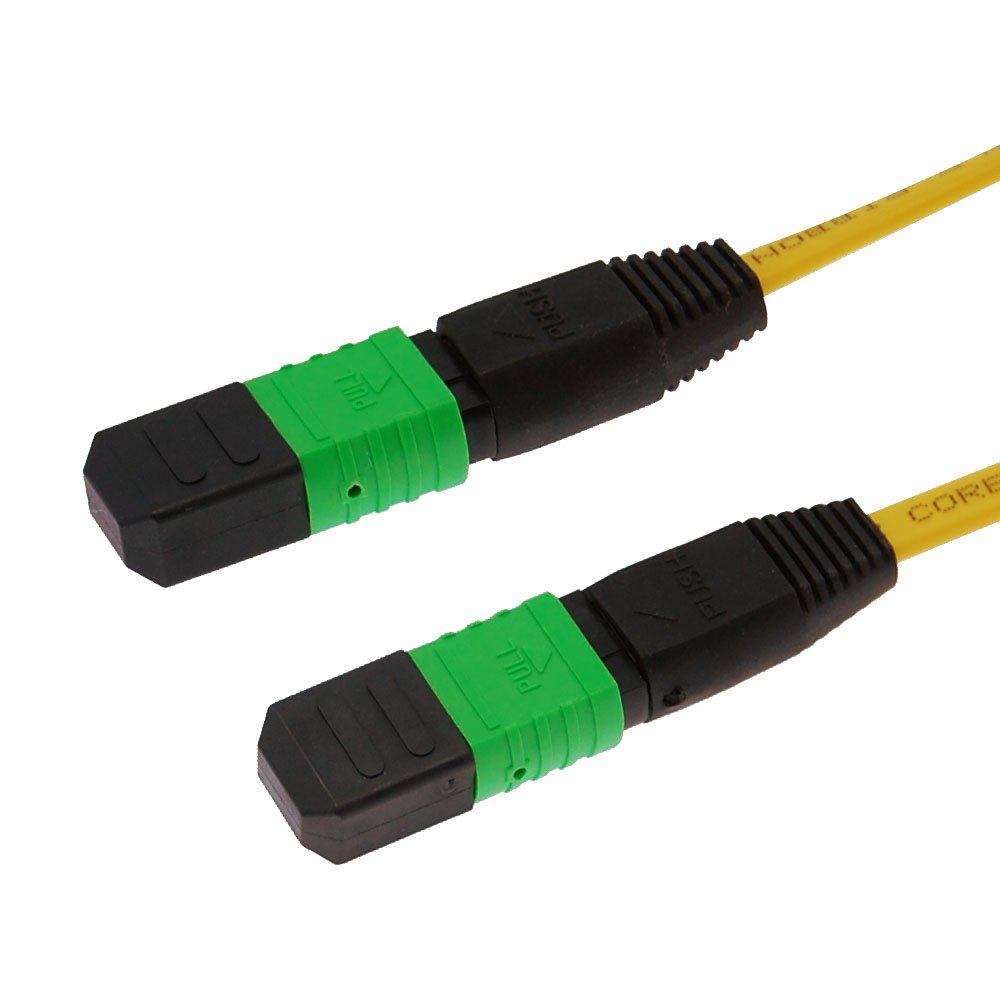 GOWOS30m 9/125 Standard MTP Fiber Patch Cable Key-up to Key-Down