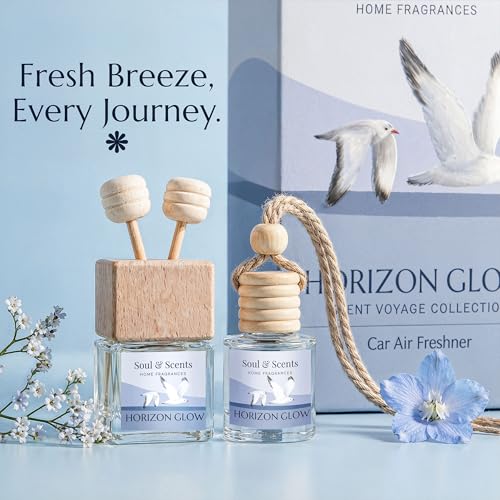Image of Soul & Scents 16ml Luxury Car Perfumes Jasmine | Horizon Glow | 2-in-1 Hanging Pod & AC Vent Air Freshener | Premium Wooden Car Fragrance Accessory | Long Lasting Odour Eliminator | Pack of 2