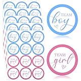 60 Stück Gender Reveal Aufkleber für Jungen oder Mädchen Sticker 5cm Rosa und Blau Baby Abstimmung Etiketten Dekorationen für Babyparty Gender Reveal Party Deko