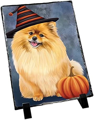 Amazon.com: Doggie of the Day Happy Halloween Pomeranian Dog Wearing ...