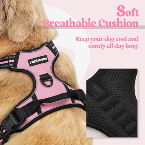 Image of rabbitgoo Dog Harness No Pull with 2 Leash Clips, Adjustable Soft Padded, Reflective Oxford No Choke Pet Vest with Easy Control Handle for Medium Sized Dogs, Pink, M