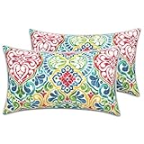 LVTXIII Fundas de almohada lumbar para exteriores de 12 x 20 pulgadas,