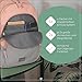 Travelite Handgepäck Rucksack, Laptop Rucksack 15,6 Zoll, BASICS, Daypack, Tagesrucksack mit vielen Fächern, 45 cm, 22 Liter