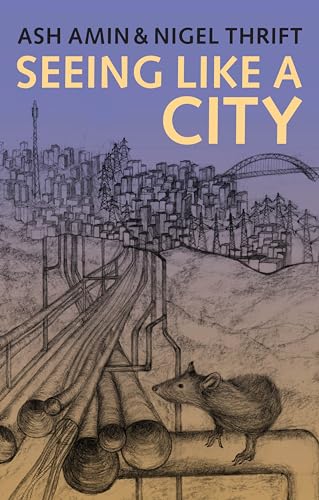 Seeing Like a City view 2