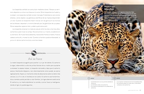 El Leopardo [Spanish] B0CWS9NTGZ Book Cover
