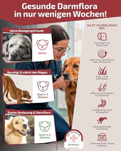 Prä & Probiotika Hund [MADE IN GERMANY, ZUCKERFREI & LABORGEPRÜFT] Darmkur mit 670 Mrd. KBE & Präbiotika – stärkt Darmflora & Verdauung – ideal nach Wurmkur, Grasfressen & Sodbrennen (180g (1er Pack))