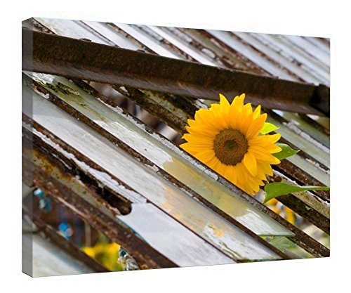 Impression sur toile Tournesol cadre bois pour offrir