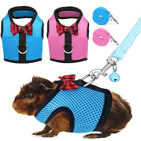 Rypet Guinea Pig Harness and Leash 2 Pieces - Soft Mesh Small Pet Harness with Safe Bell, No Pull Comfort Padded Vest for Guinea Pigs, Ferret, Chinchilla and Similar Small Animals Cover