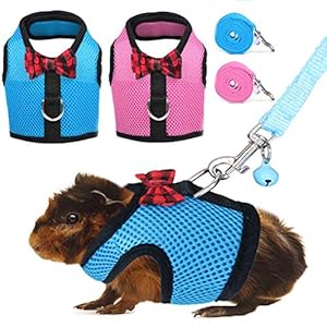 Rypet Ferret Harness and Leash 2 Pieces – Soft Mesh Small Pet Harness with Safe Bell, No Pull Comfort Padded Vest for Guinea Pig, Hamster, Rats and Similar Small Animals