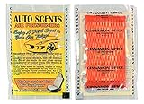 Individually Wrapped - Professional Car Air Freshener Pads - Remove Smells & Add Ambience (15 Per Pack) (Cinnamon Spice)