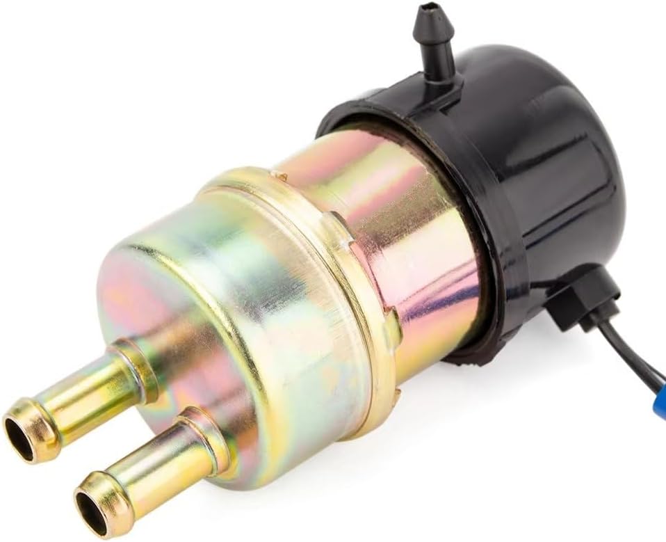 ブセファランドラ sp.ロイヤルラウンドメタリック 水上葉1株 2019年