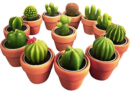 Succulent Candles, Novelty Cactus Tealight Candle Baby Shower Candle Decorations for Party Favors Terrarium Cacti candels Home Decor…