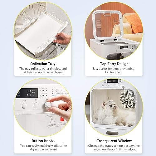 PET MARVEL Pet Dryer Box, Automatic Blow Dryer for Cat and Small Dog Hair, Smart Homothermal Temperature Control 360 Nature Wind Drying 60L Capacity
