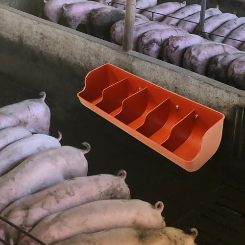Comedero para cerdos de plástico resistente con 5 compartimentos naranja 6
