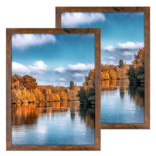 DBWIN 18x24 Picture Frame Rustic Brown Wood Pattern Poster Frame Plexiglass Front 2 Pack for Art Prints Murals Wall Decor Vertically or Horizontally(LY01-18X24-BR2)