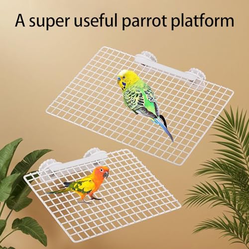 Jouet pour oiseaux et support à bascule pour stimuler votre perroquet - 3