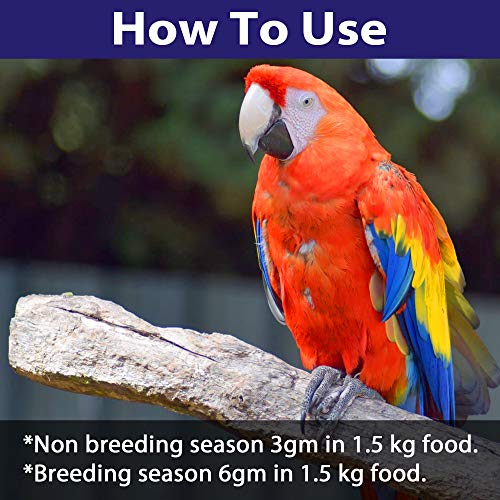 Image of Pet Care International (PCI) D-Plus Powder || Help Calcium Absorption and Immunity || Healthy Bird Healthcare || 100grm