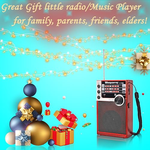 Radio portátil de bolsillo Y-706 AM FM SW y modelo D218 miniatura 6