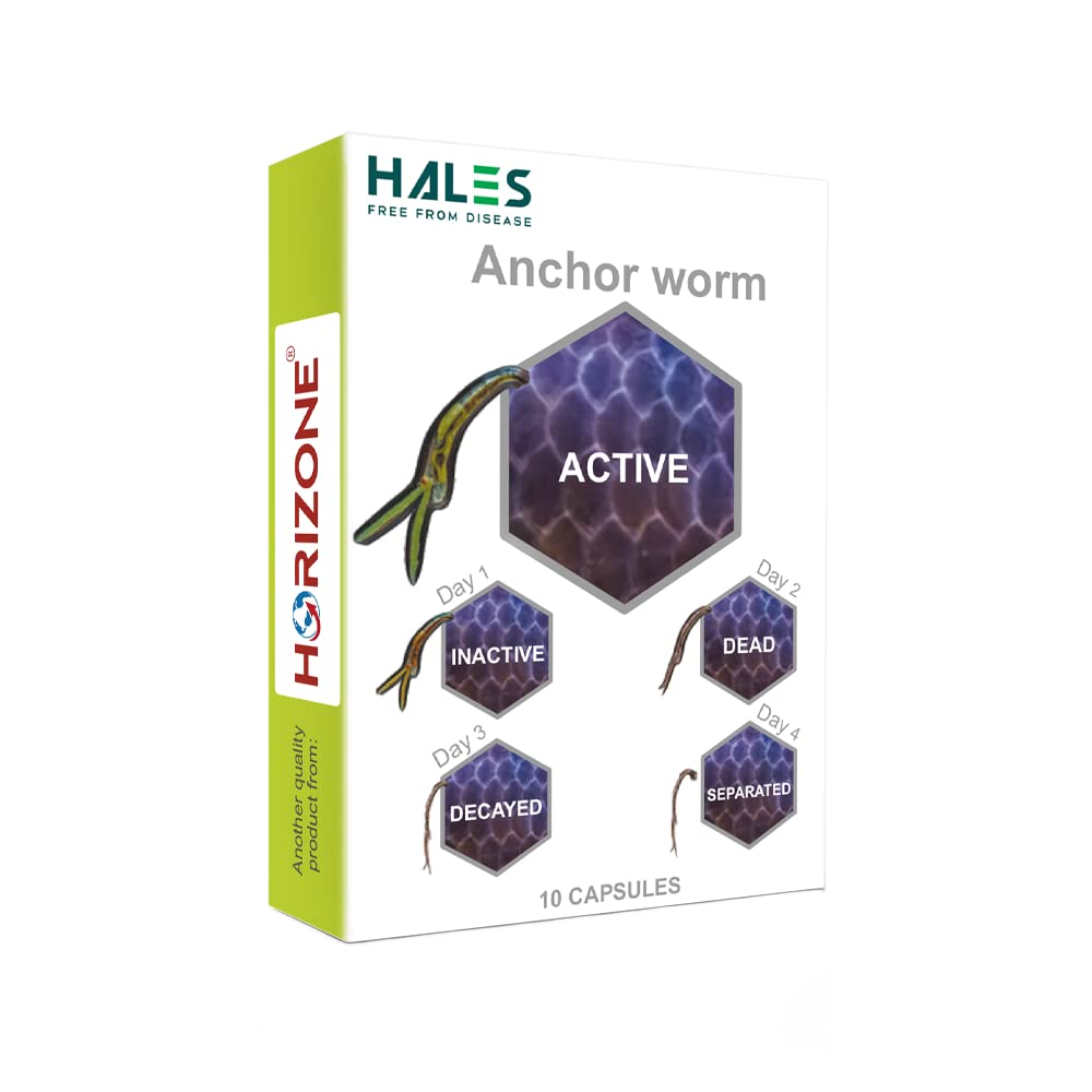 VAYINATO Horizone Hales Anchor Worm Aquarium Fish External Parasite Remover|Removes Anchor Worm|Flea|Fish Lice|10 Pcs Per Pack (B0C1VRYL8W) Amazon Price History, Amazon Price Tracker