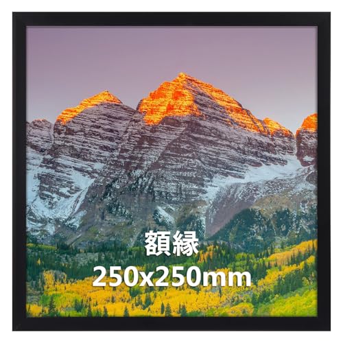 Vasemouh 額縁 正方形 25角 額 フォトフレーム 250x250mm ポスター 絵 写真 ブラック 1枚 壁掛け 卓上兼用
