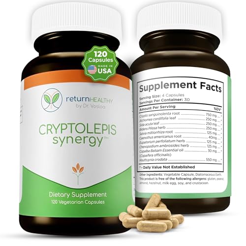 Return Healthy Cryptolepis Synergy, Immune Support Vitamins, Immune System Booster