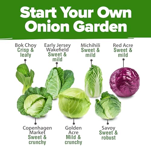 HOME GROWN 7 Cabbage Seeds for Planting - 2000+ Heirloom π‘π’π‘-ππ π’ π¨π¦π Seeds - Golden Acre,BokChoy,Savoy,Michihili, Red Acre, Copenhagen Market,Jersey Wakefield - Vegetable Seeds for Planting