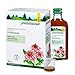 Schoenenberger - Echinacea naturreiner Heilpflanzensaft - 3x 200 ml Glasflasche - stärkt die Abwehrkräfte - freiverkäufliches Arzneimittel